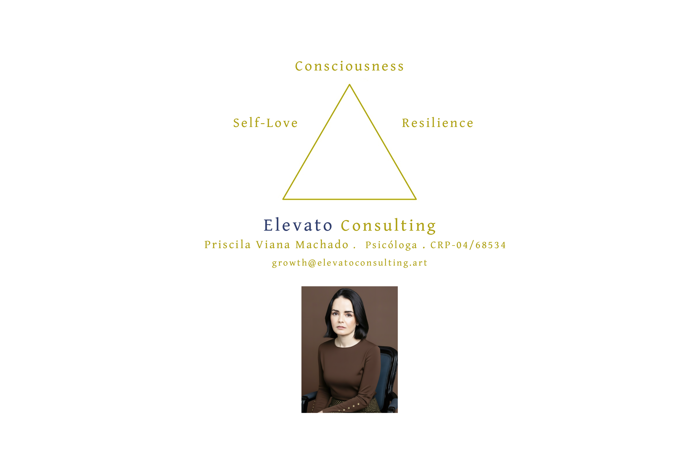 Elevato Consulting